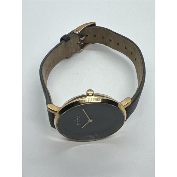Skagen Ditte SKW2216 Women\'s Gray Leather Analog Dial Quartz Wrist Watch JNA1000